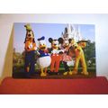 DISNEY, CINDERELLA'S CASTLE, MAGIC KINGDOM PARK...