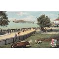 ED37 SWANAGE - THE PIER. PRINTED POSTCARD