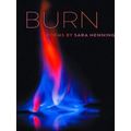 Crab Orchard Series In Poetry Burn