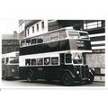 Black & White Photo of S. Turner & Sons Ltd. of...