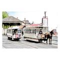 ptc7470 - I.O.M. - Douglas CT. Horse Trams No.2...