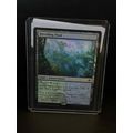 Breeding Pool - Foil Edge of Eternities Magic: ...