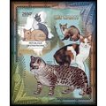 CENTRAL AFRICA 2012 SHEET MNH CATS CHATS KATZEN...