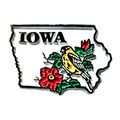 Iowa 5 Color State Outline United States Fridge...