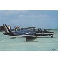 EM170 Magister French Air Force Military Aircra...