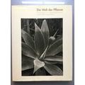 World Of Plants