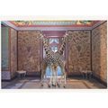 Symmetrical Giraffe as Animal Siamese Twins Pho...