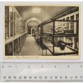 vintage postcard Pompei, Museo Pompeiano ( II.S...