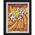 New Caledonia Birds Tenth Anniversary of Noumea...