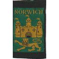Scout Badge UK - Norwich South (Green) - Ribbon...