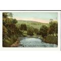 Yorkshire BOLTON WOODS River Wharfe Postcard by...