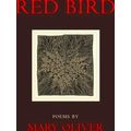 Red Bird