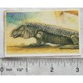 Brooke Bond Going Wild No. 17 Monitor Lizard, W...