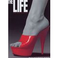 The Life David Newman Musical New York USA Theatre Advertising Postcard