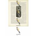 Woman Of Lazestan (Turkey), Book Illustration (...