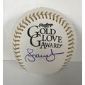 Andruw Jones Signed Autographed Gold Glove Majo...
