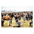 ptc5456 - Yorks - The Penistone Agricultual Sho...