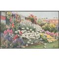 Herbaceous Border, Hampton Court Palace, c1925 ...