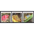AUSTRALIA: 2025, LIVING SEASHELLS, EGG COWRIES,...