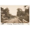 Westcott Road Dorking Surrey in 1906 Postcard