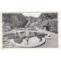 The Italian Gardens Scarborough Postcard 84384