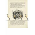 Bramber Castle, Sussex, Book Illustration (Prin...