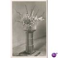 Jersey Postcard - The Font, St. Mathew's Church...