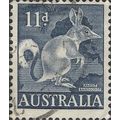 AUSTRALIA, MAMMAL, Greater Bilby, Rabbit Bandic...