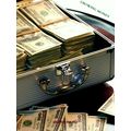 Growing Money by Jasmin Hajro