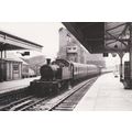 Railway Postcard GWR 45xx 5562 Newquay 1960 Gre...