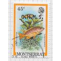 MONTSERRAT 1981 OFFICIAL FISH OVERPRINTED OHMS ...