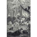 HAUNT OF THE AFRICAN ELEPHANT 1894 Josiah Wood ...