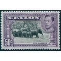 Ceylon 1938 50c black & mauve Perf 13x11½ SG394...
