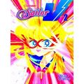 Codename Sailor
