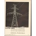 TEXAS ELECTRIC SERVICE COMPANY 1962 Power essen...