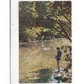Champion Cutty's Campground PA USA Postcard pos...