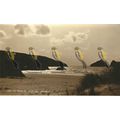 Newquay, Hollywell, Judges Cornwall, RP Postcard