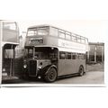 Black & White Photograph of Thames Valley Tract...