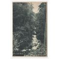 In Glen Helen Postcard Isle of Man IOM 370