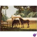 GB Postcard - Courage Shire Horse Centre, Maide...