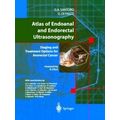 Atlas of Endoanal and Endorectal Ultrasonography
