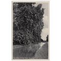 New River College Road Cheshunt Postcard Hertfo...