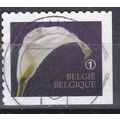 BELGIE 4368c °
