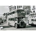 Black & White Photograph of Northampton Corpora...