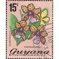 GUYANA, FLOWER, Christmas Orchid, pink 1972, 15c