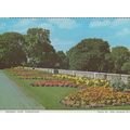 Mowbray Park Sunderland Daffodils Durham Postcard