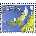 GUERNSEY, BIRD, Common Barn Owl, Tyto alba, blue 2007, UK, #3