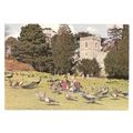PEACOCKS BY THE CHURCH AT BROWNSEA ISLAND, DORS...