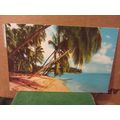 COCONUT PALMS, BARBADOS, WEST INDIES used postc...