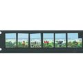canada sg1460 sg 1460 fruits mnh 1991 mnh